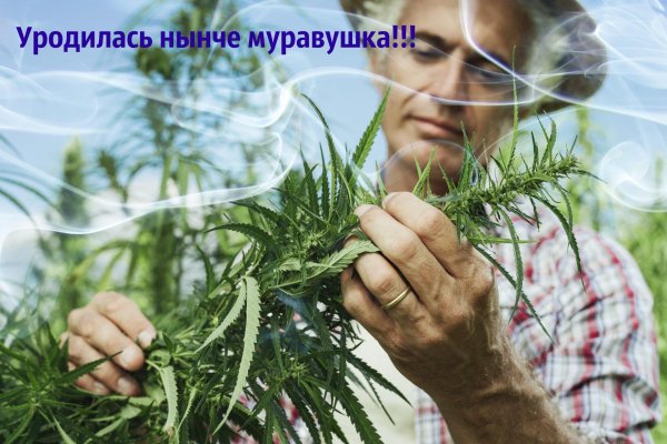 Кракен даркнет ссылка kraken link24 info