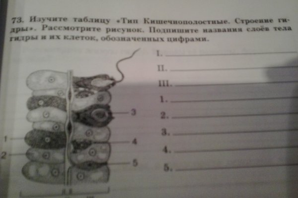 Кракен даркнет зеркало пв