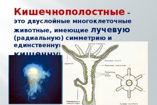 Кракен даркнет вход