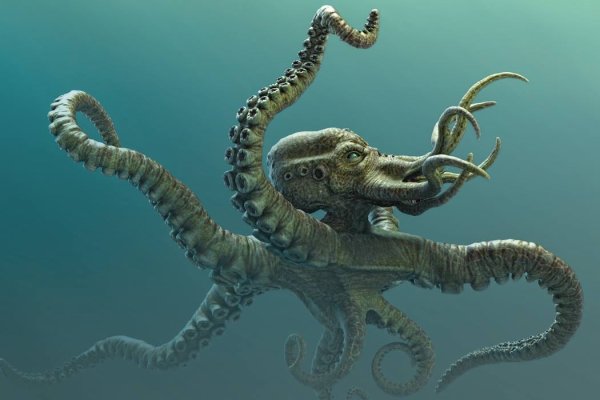 Ссылки зеркала на kraken